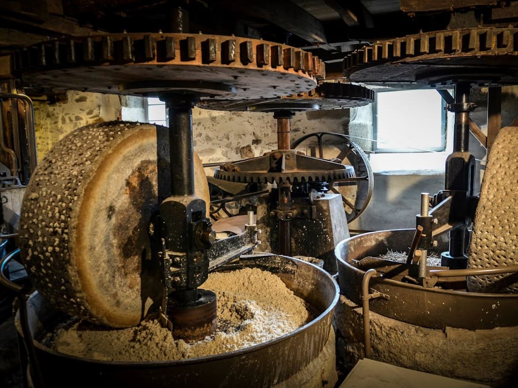 Parcours de pêche sur la Vienne du Moulin du Got — photo 2