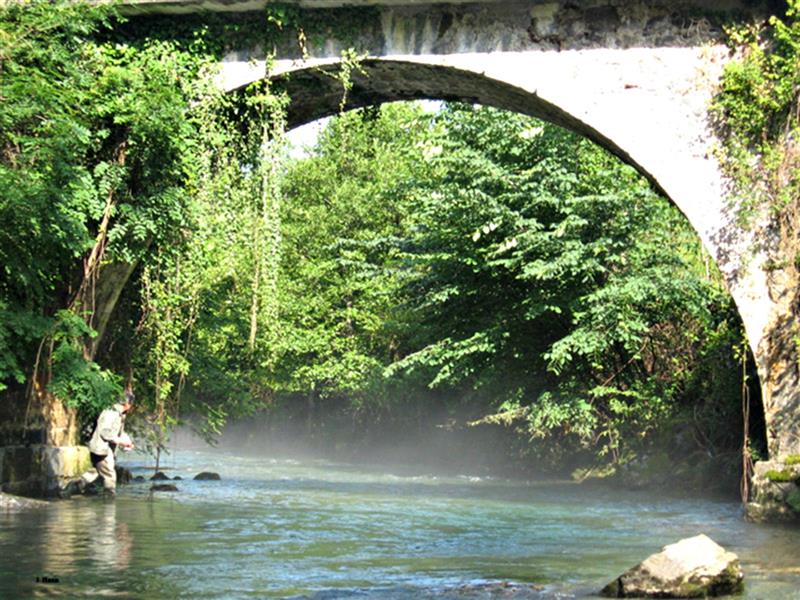 Aspe Angler Flyshop