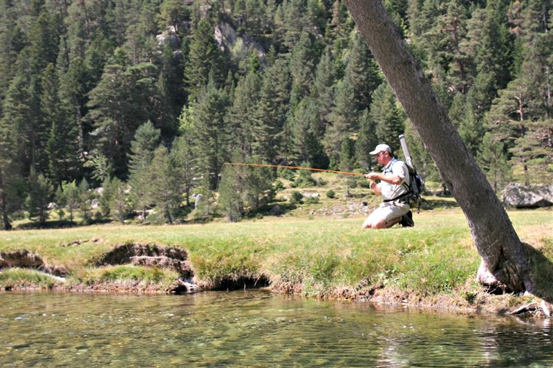 Aspe Angler Flyshop