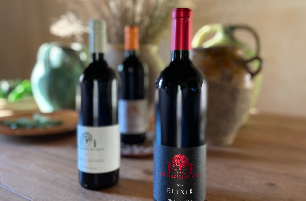 Château Les Farcies du Pech - photo 4