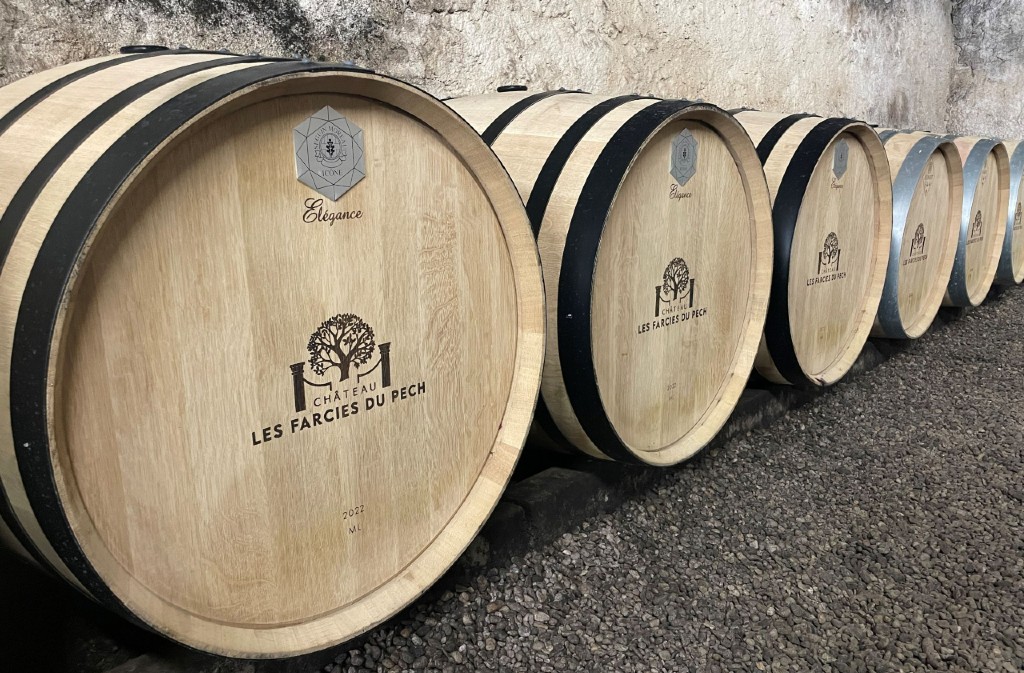 Château Les Farcies du Pech - photo 2