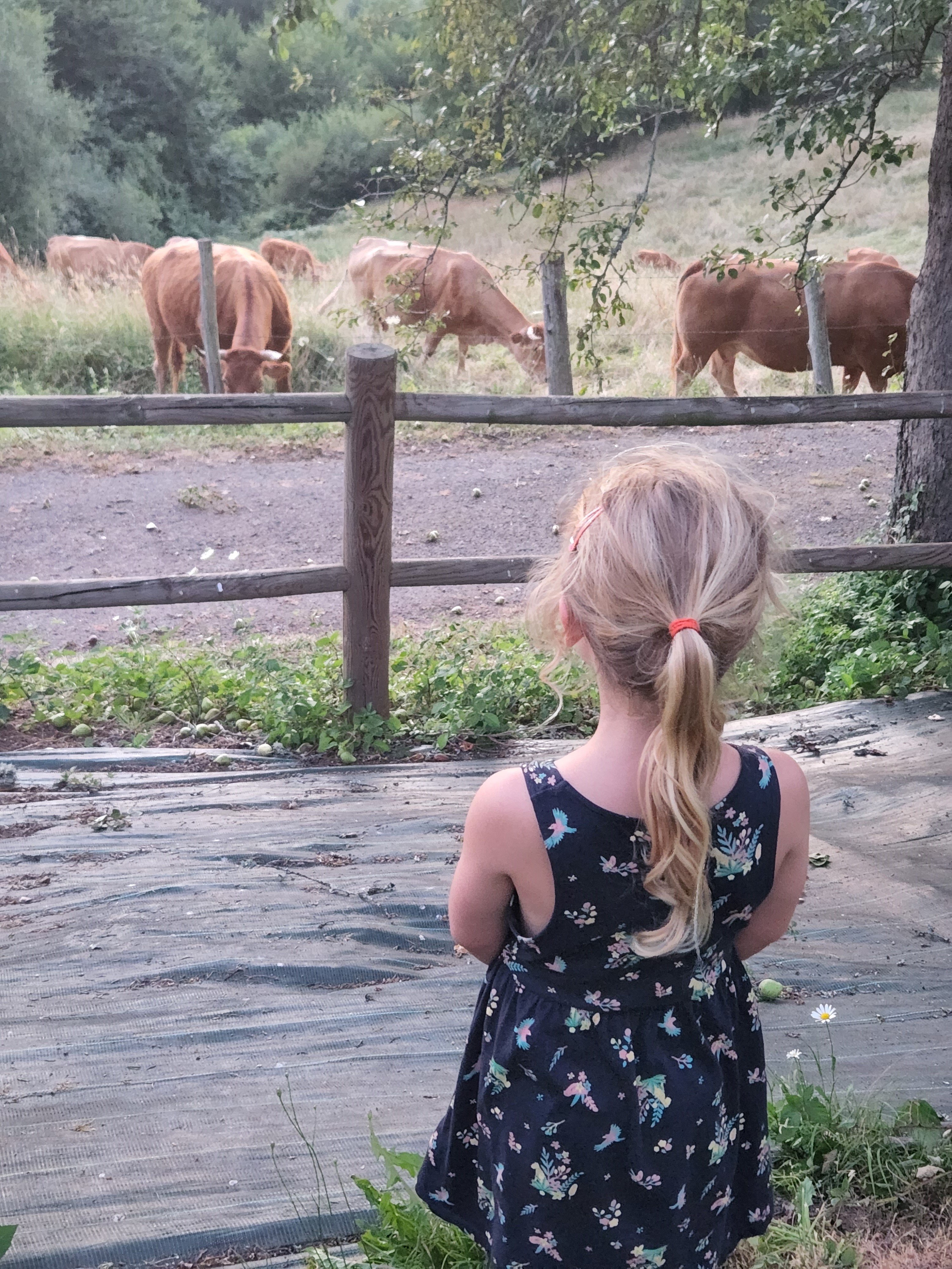 La maison du sabotier, La Chapelle-aux-Brocs
