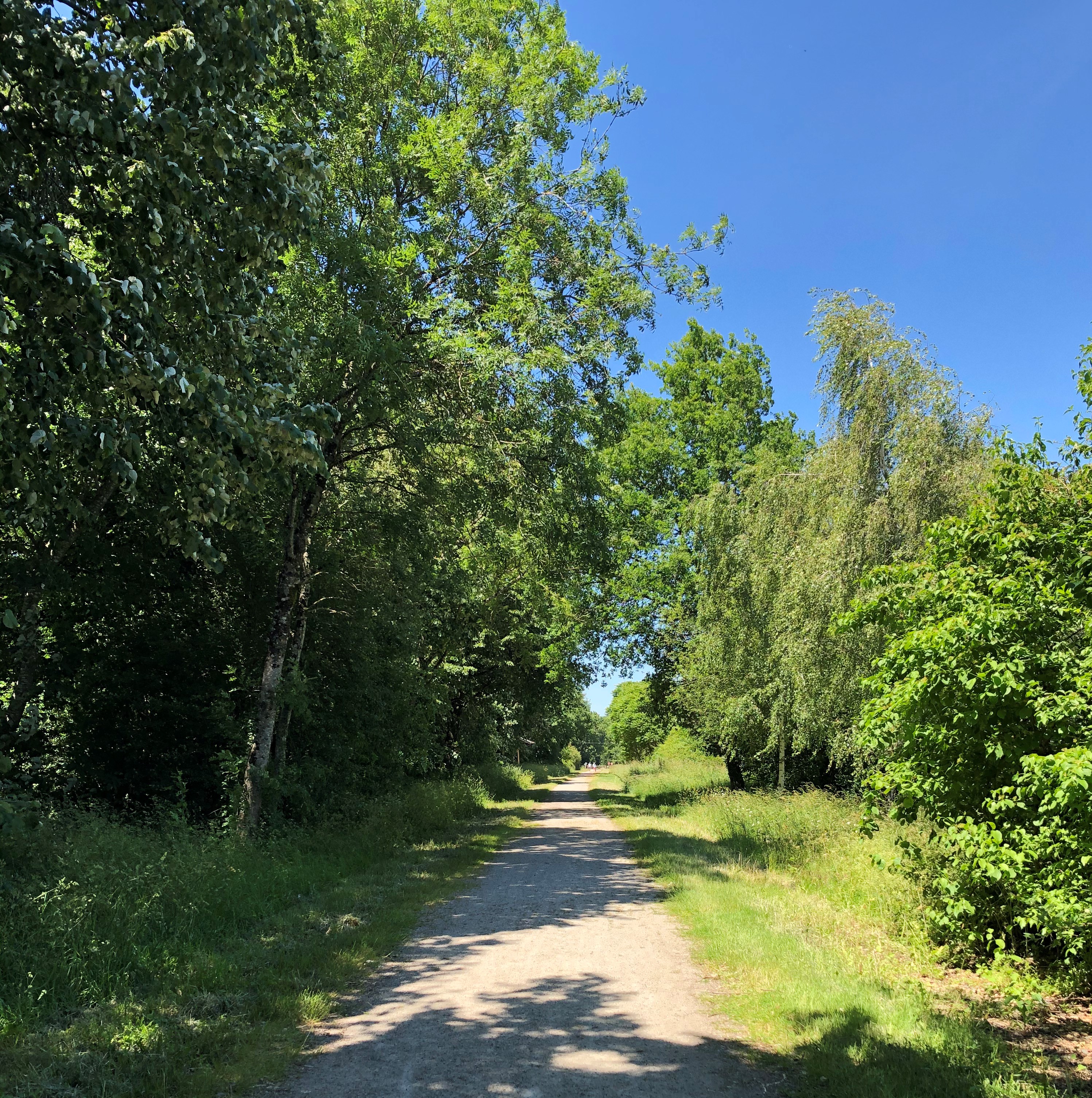 L'endurance, Parthenay - photo 13