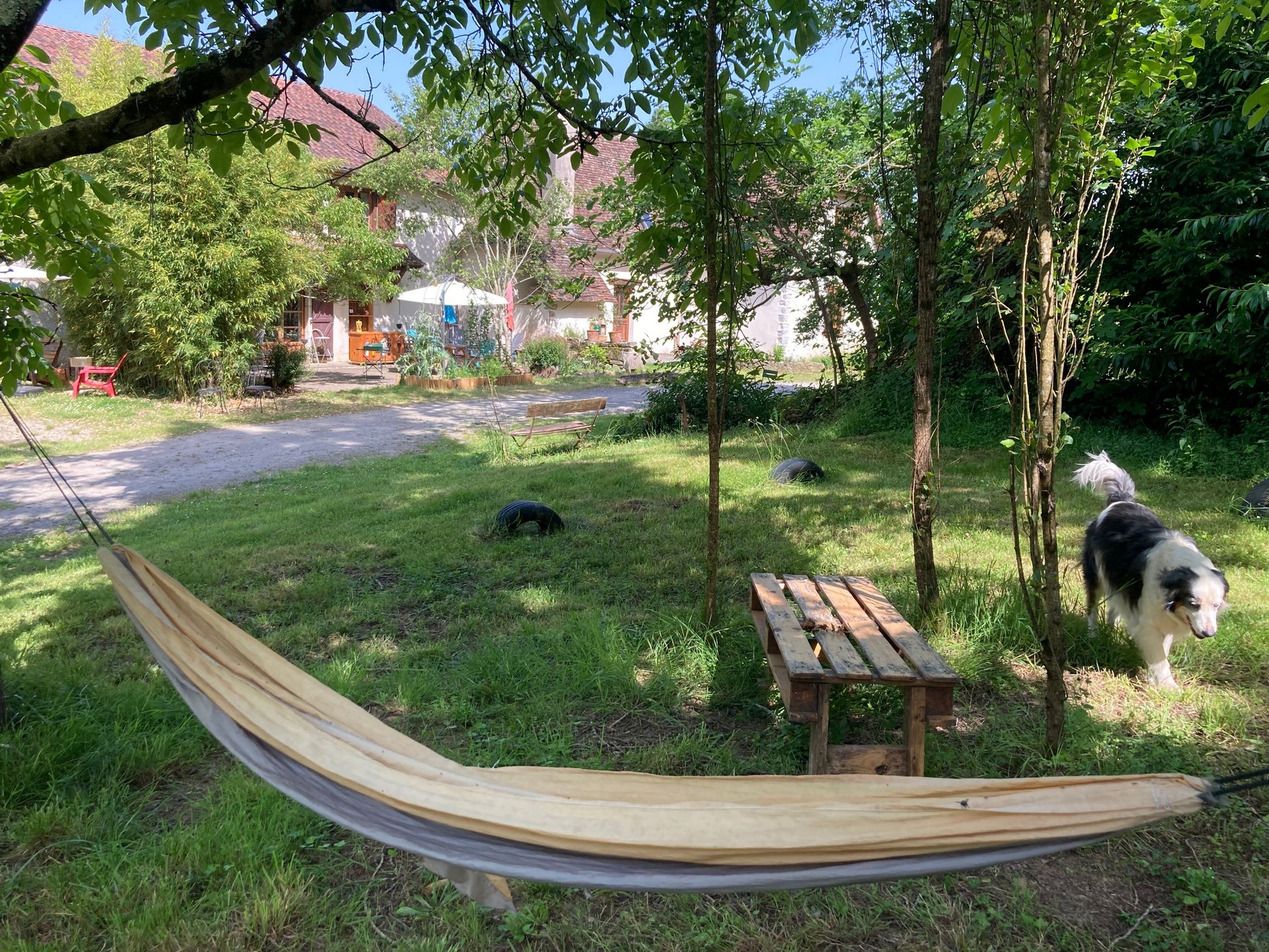 Chambres d'hôtes "La Ferme Acoucoula" - photo 4