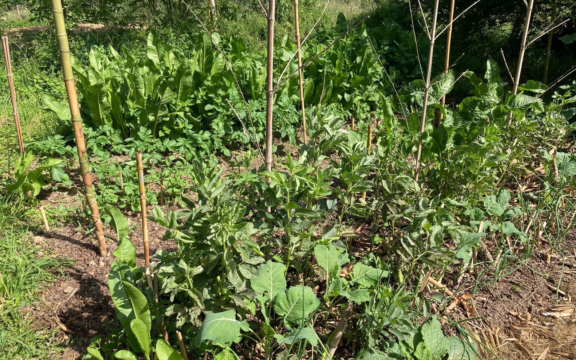 Chambres d'hôtes "La Ferme Acoucoula", Orthez - photo 18
