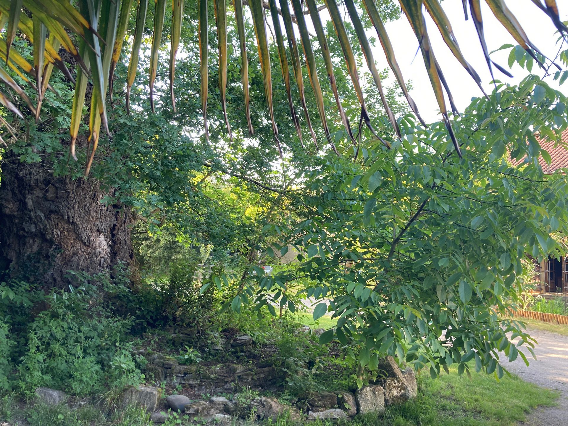 Chambres d'hôtes "La Ferme Acoucoula" - photo 2