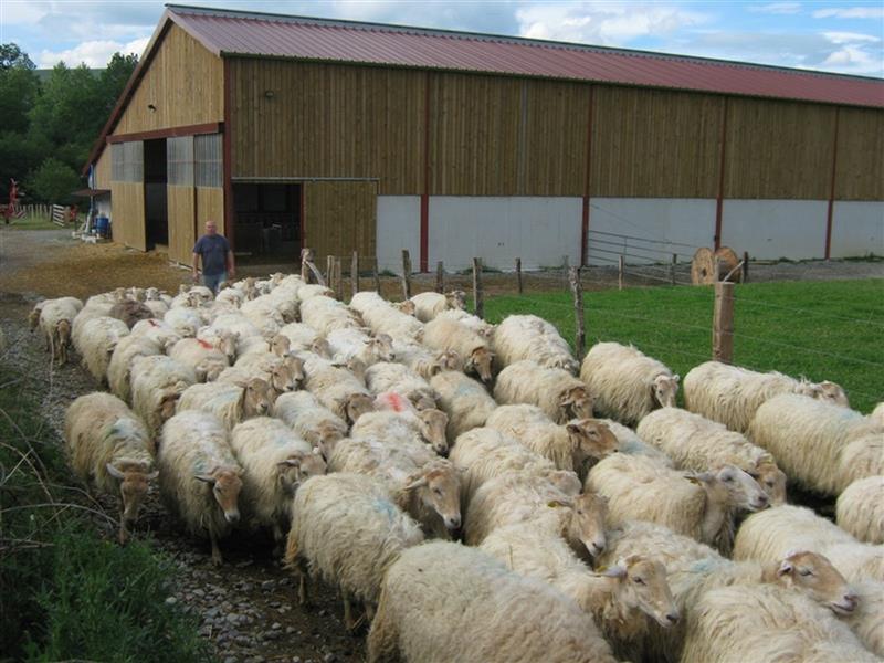 Ferme Bachoc