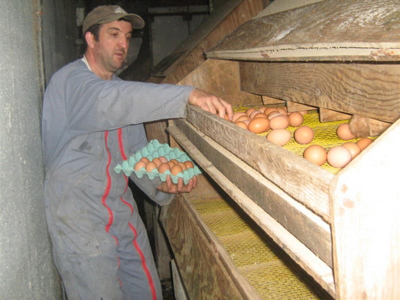 Ferme Bacquet