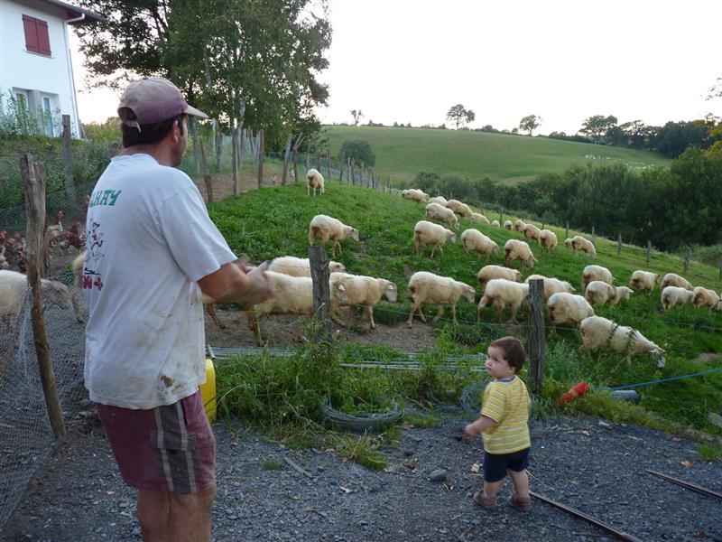 Ferme Bacquet