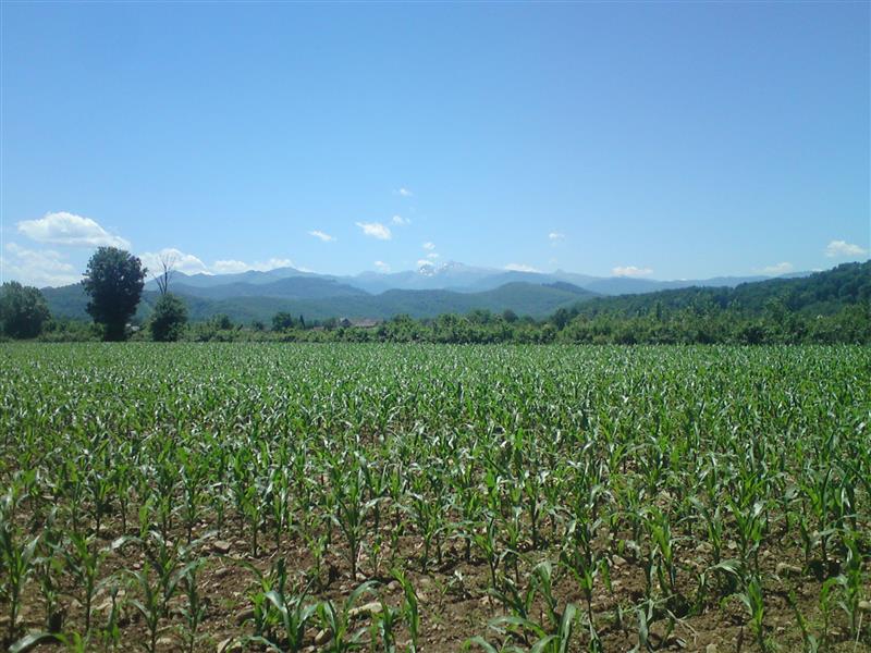 Ferme Bergeras
