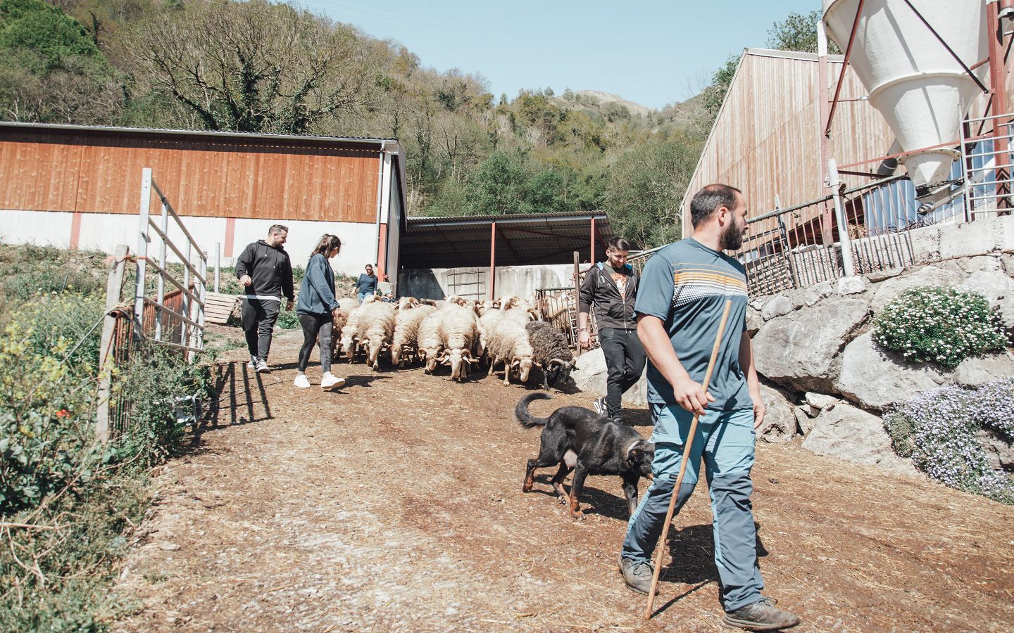 Ferme Bonnemason - GAEC Anglas — photo 3