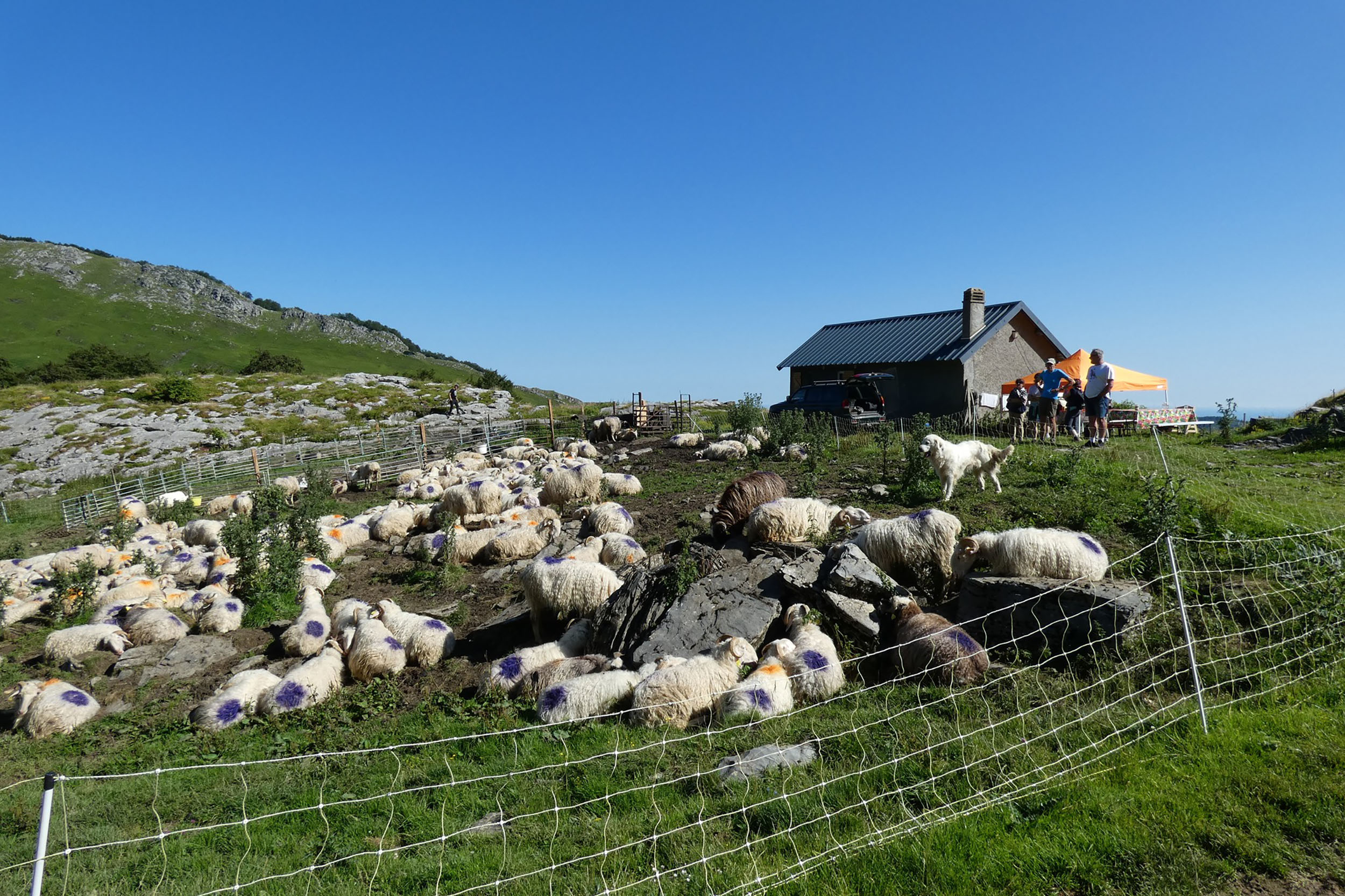 La Ferme du Brouquets