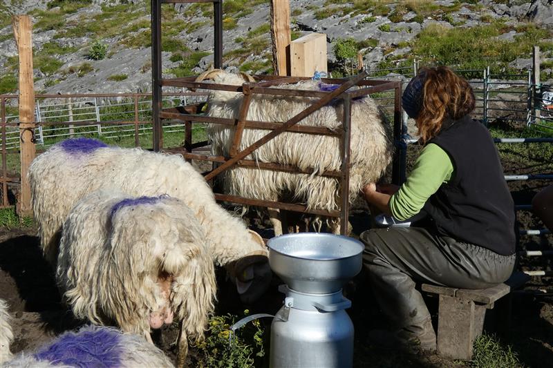 La Ferme du Brouquets