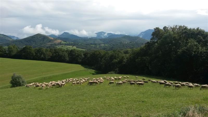 Ferme Casebonne