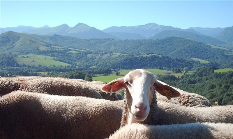 Ferme Casebonne