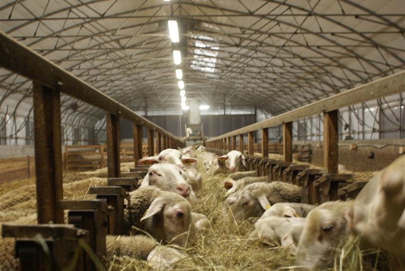 Ferme Casebonne