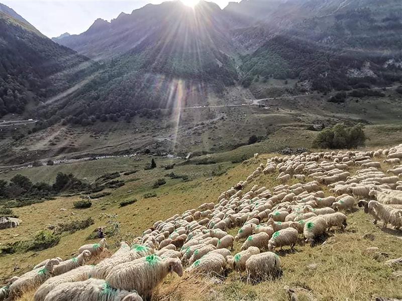 Ferme Castaing - Maison Ambielle
