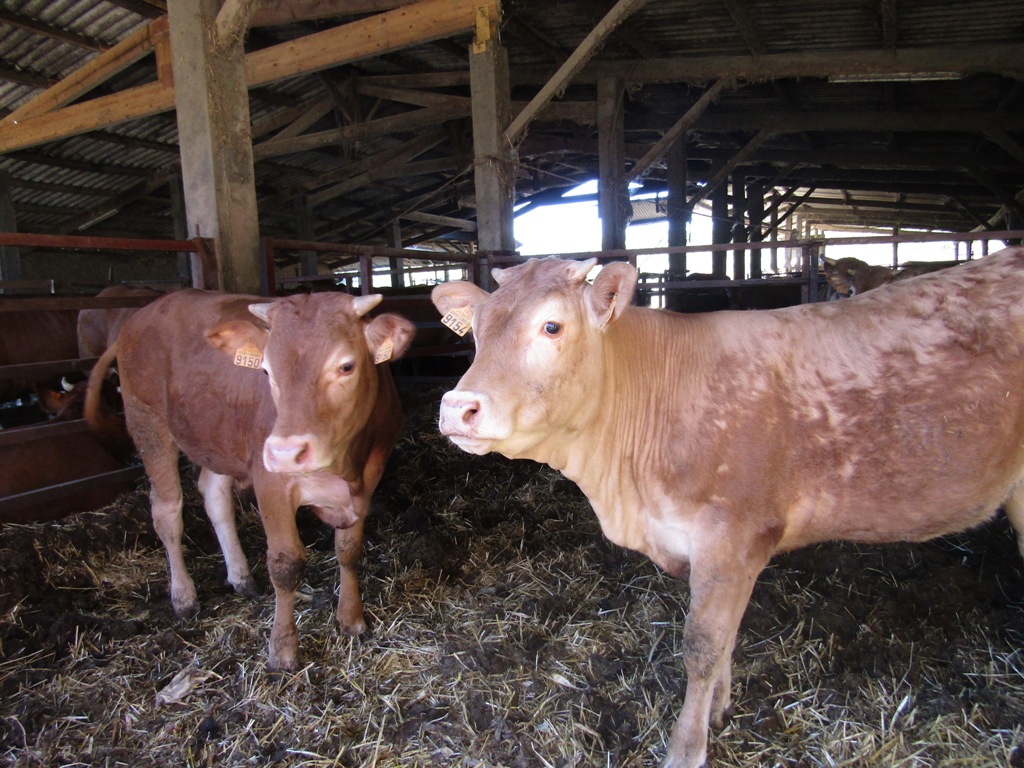 Ferme Ceres - photo 5