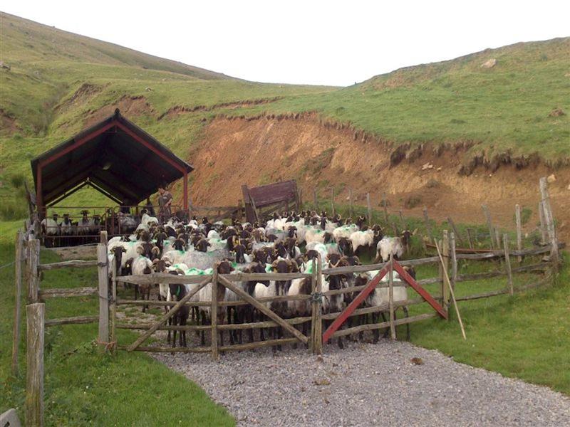 Ferme Elixaia