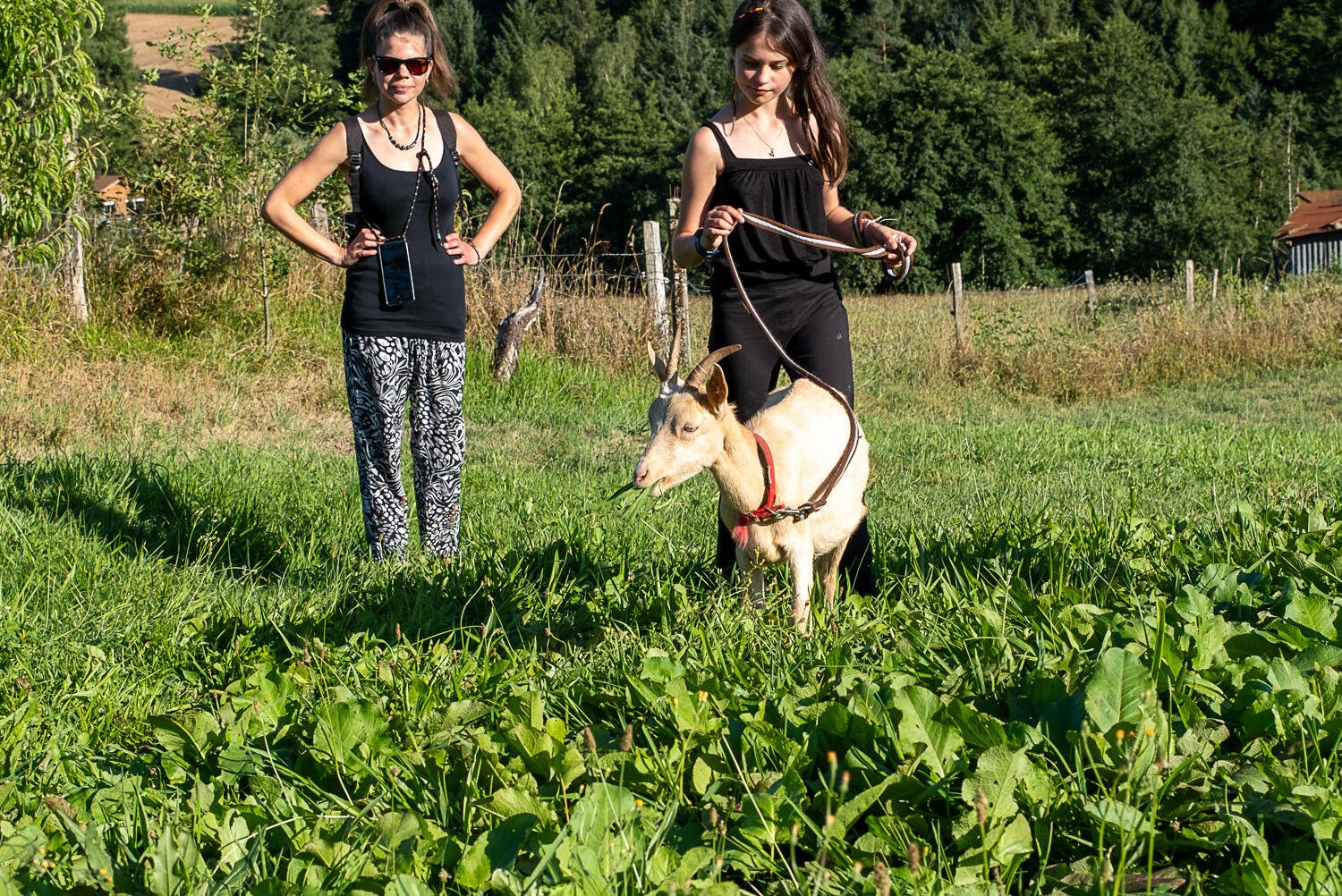 Visite active et pédagogique de la ferme Equi'libre, Angoisse - photo 5