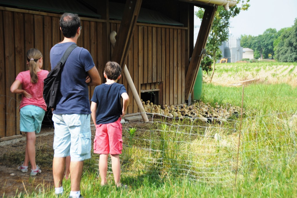 Ferme Espaounic — photo 3