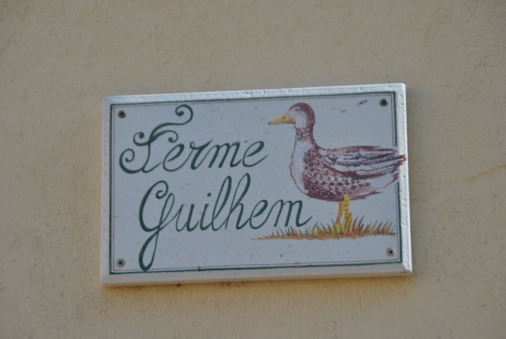 Ferme Beyris Guilhem — photo 3