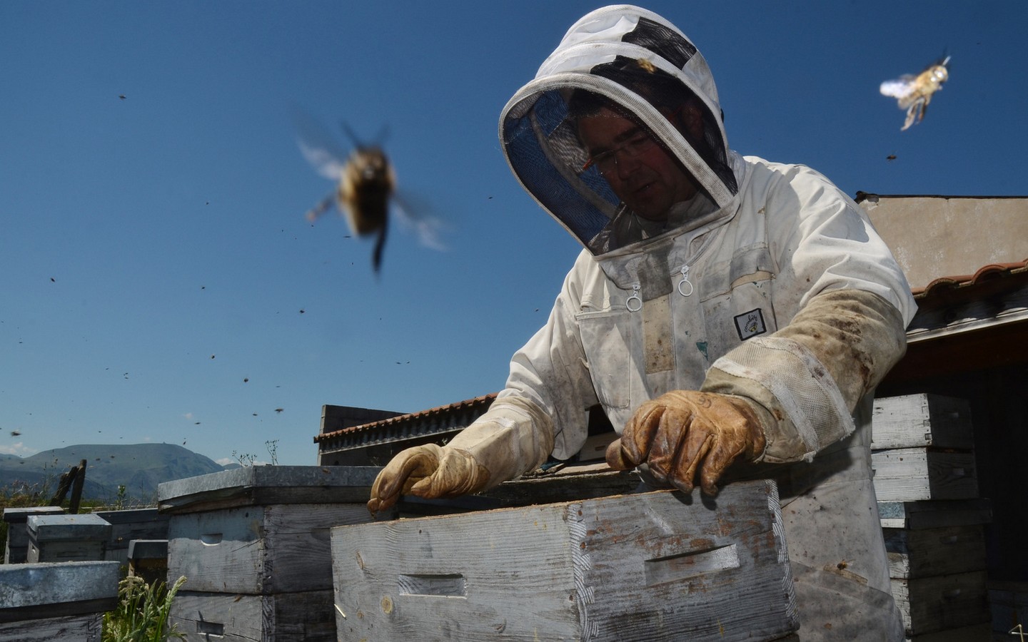 Visite "Abeilles et Délices"