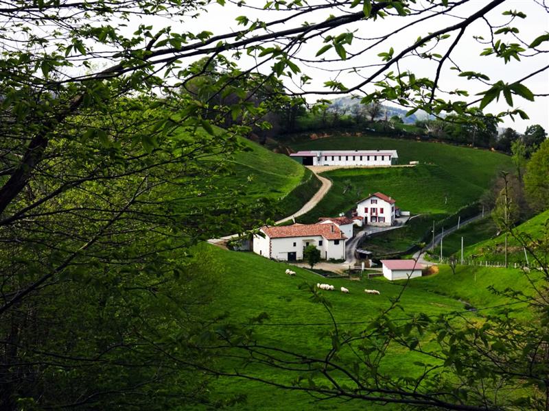 La ferme Ithurrieta - Elodie et Peio Laxague