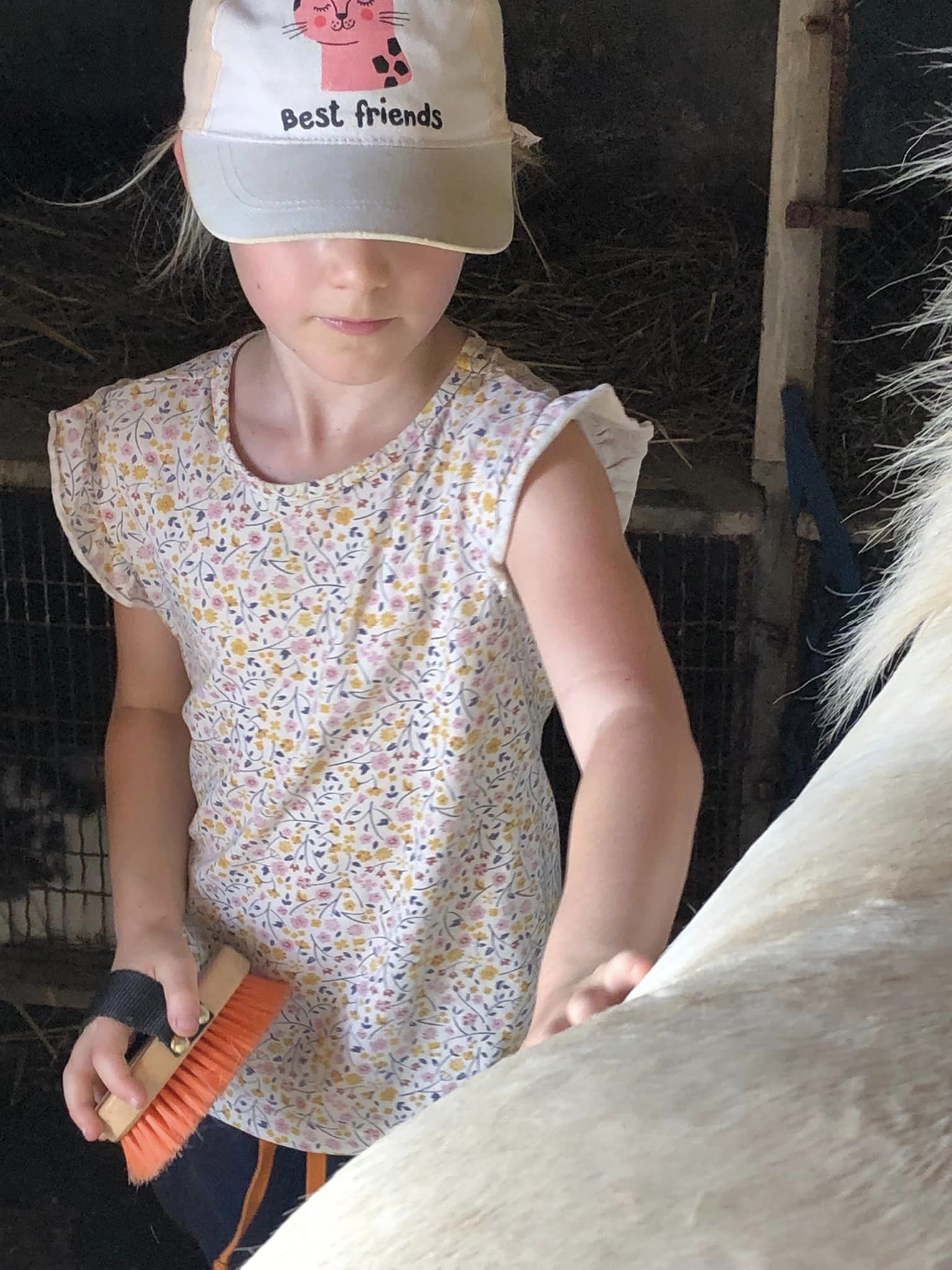 Les « petits Fermiers », Nantheuil
