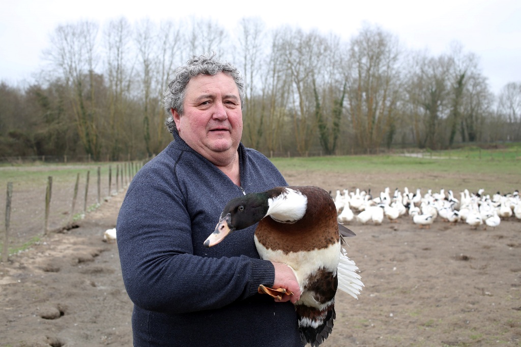 Ferme La Barthote - photo 5