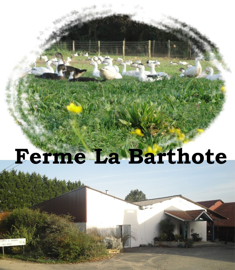 Ferme La Barthote - photo 3