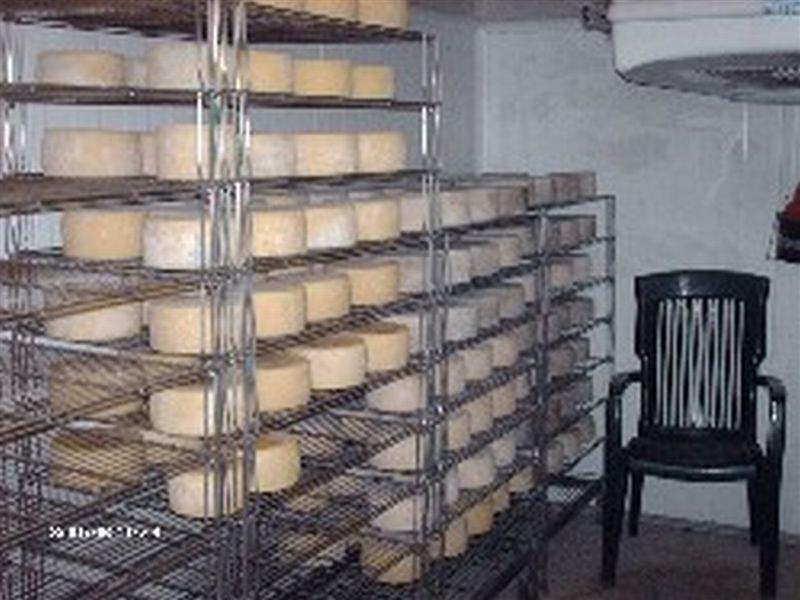 Producteur de Fromage Pur Brebis Mocho