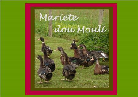 Mariete dou Moulin