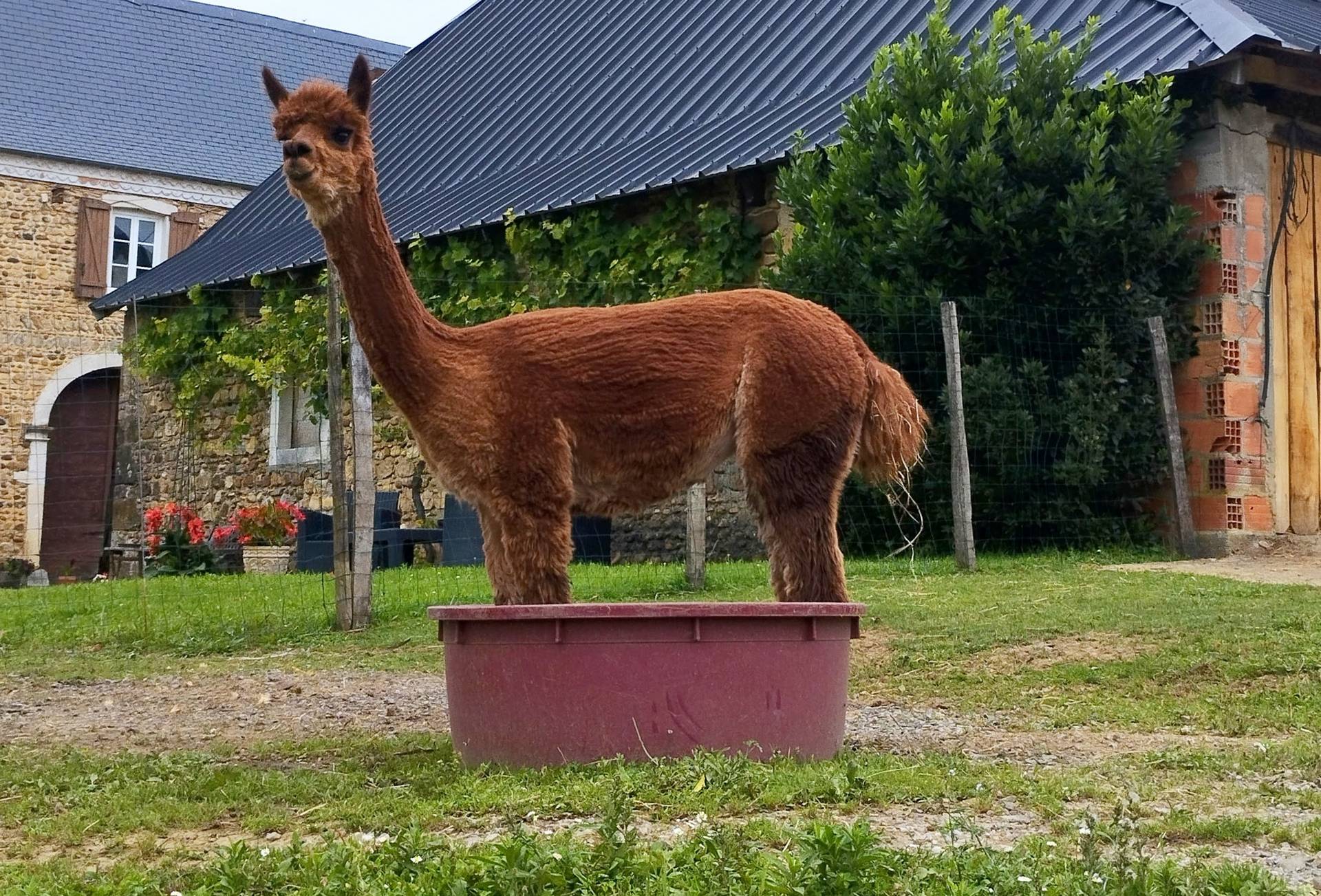 Ferme Pakucha, Lucq-de-Béarn - photo 7
