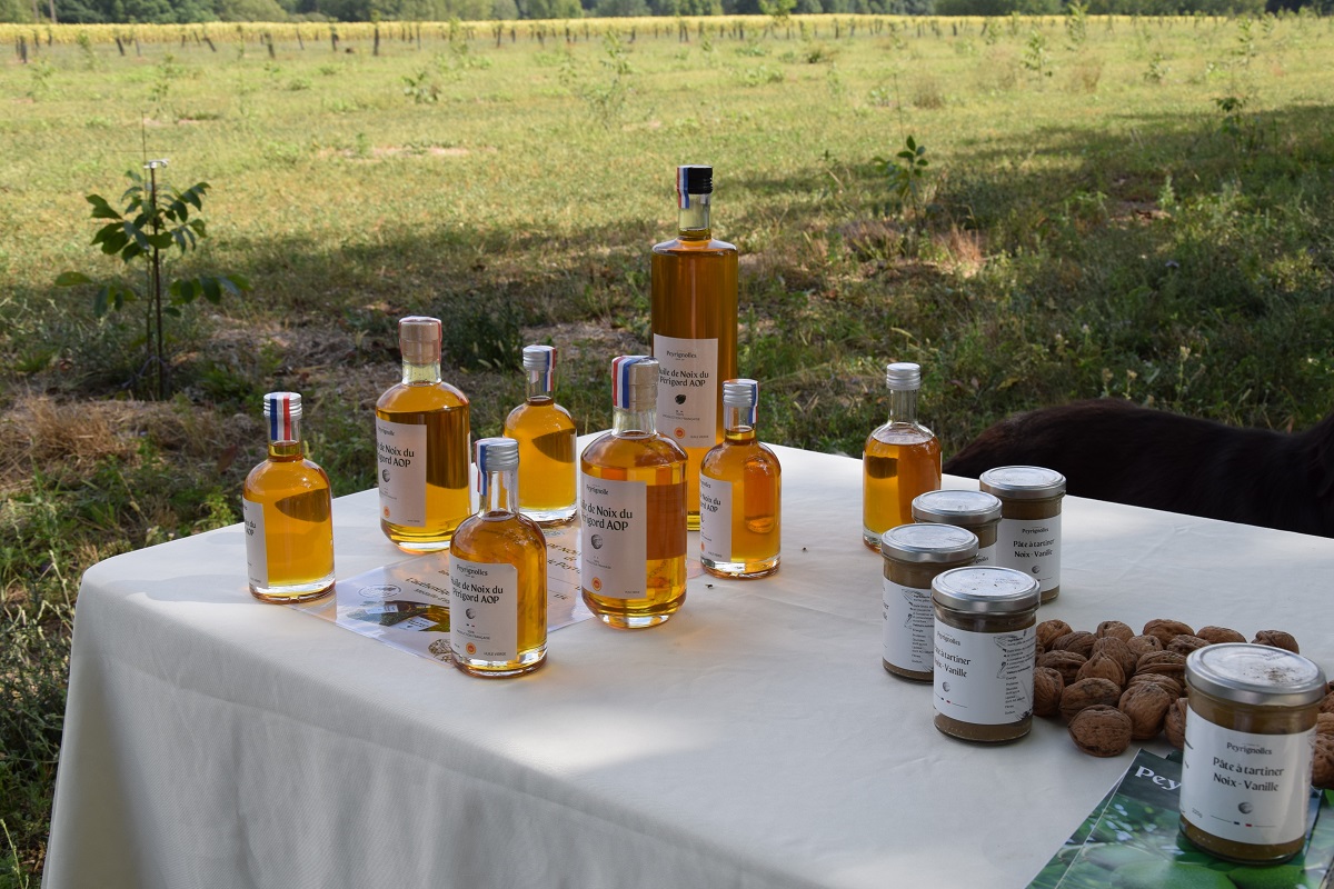 Domaine de Peyrignolles - photo 4