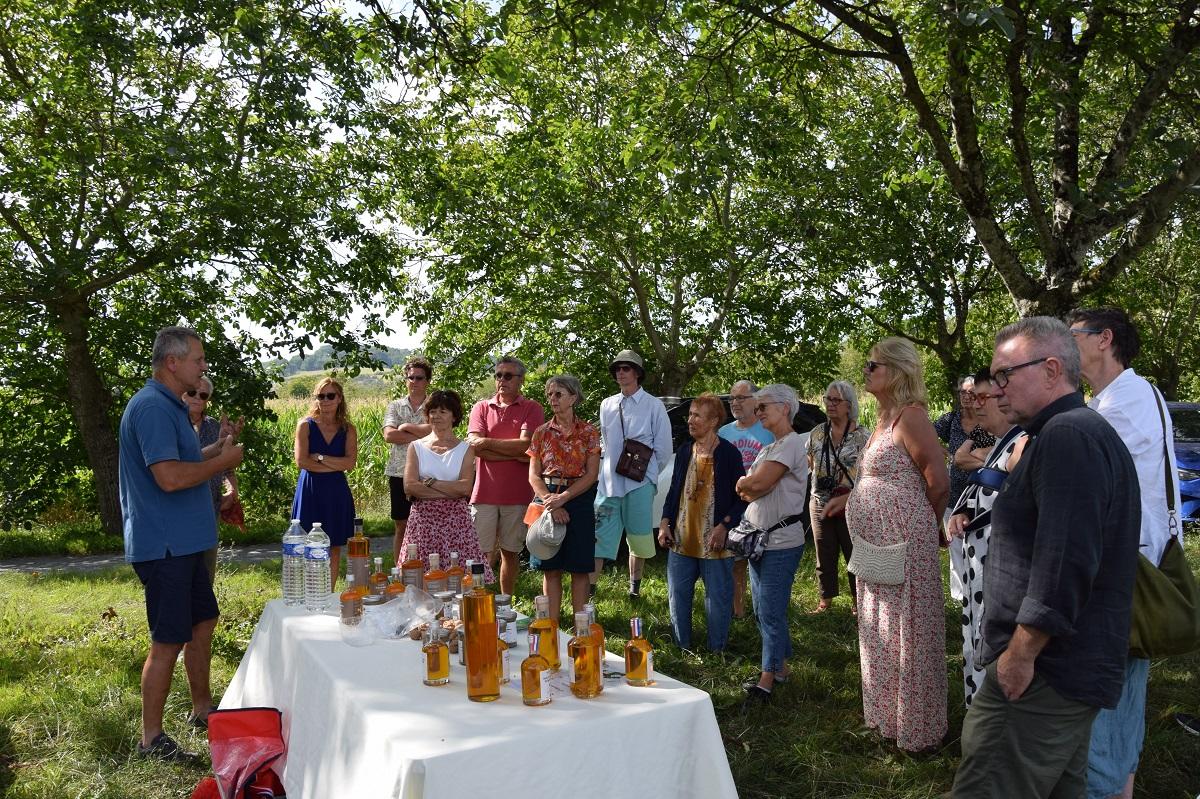 Domaine de Peyrignolles - photo 5