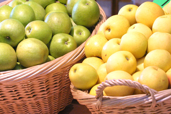 Ferme Roques - photo 2