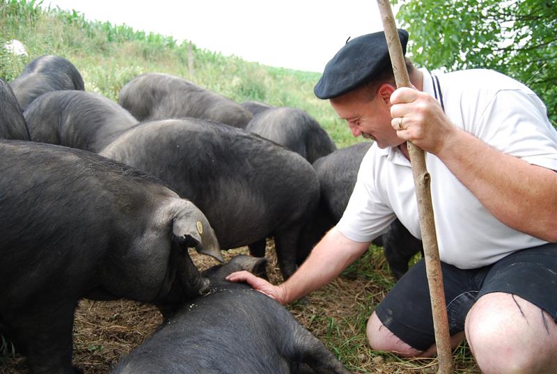 Comme à la Ferme
