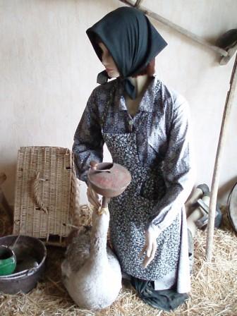 Ferme Tauzia — photo 3