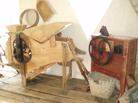 Ferme Tauzia — photo 2