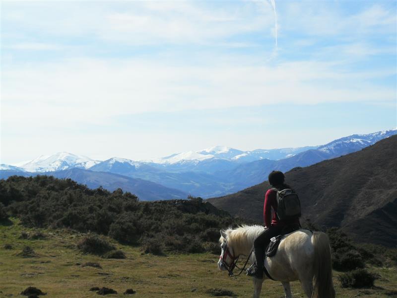Ferme équestre Urkodea