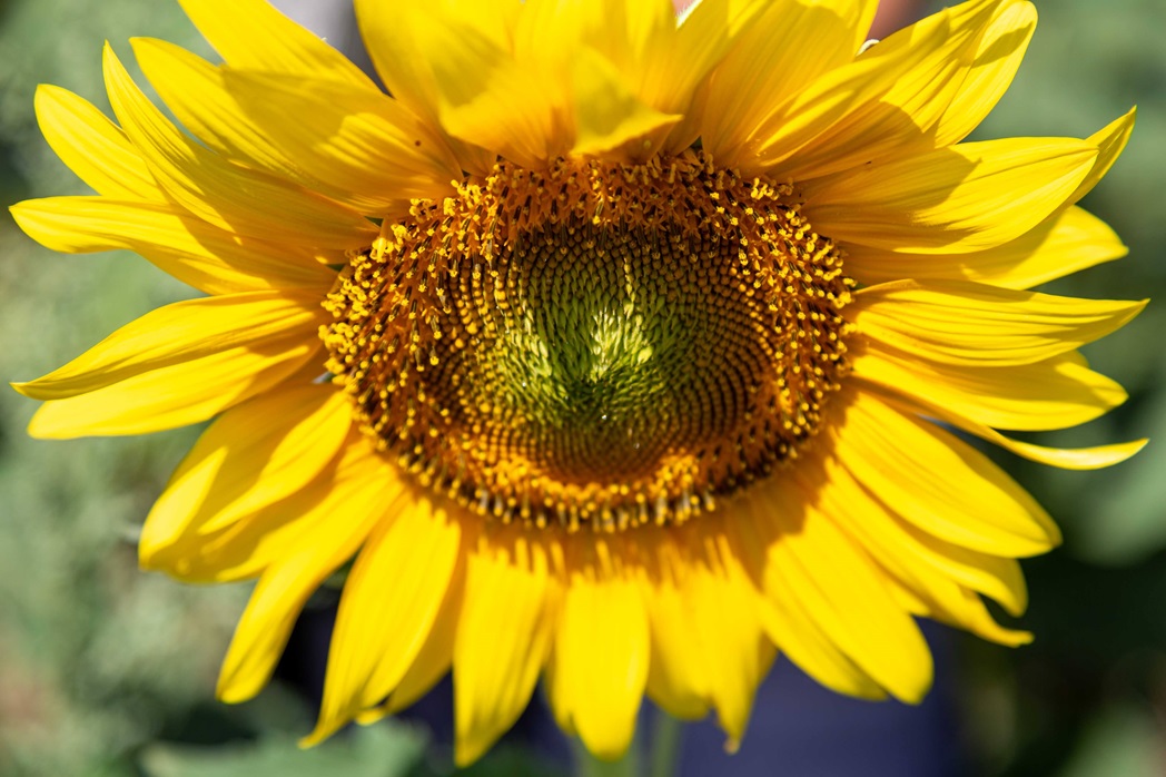 Ferme Bio du Duellas