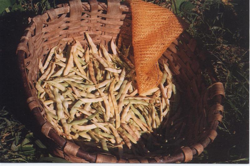 L'esbariade