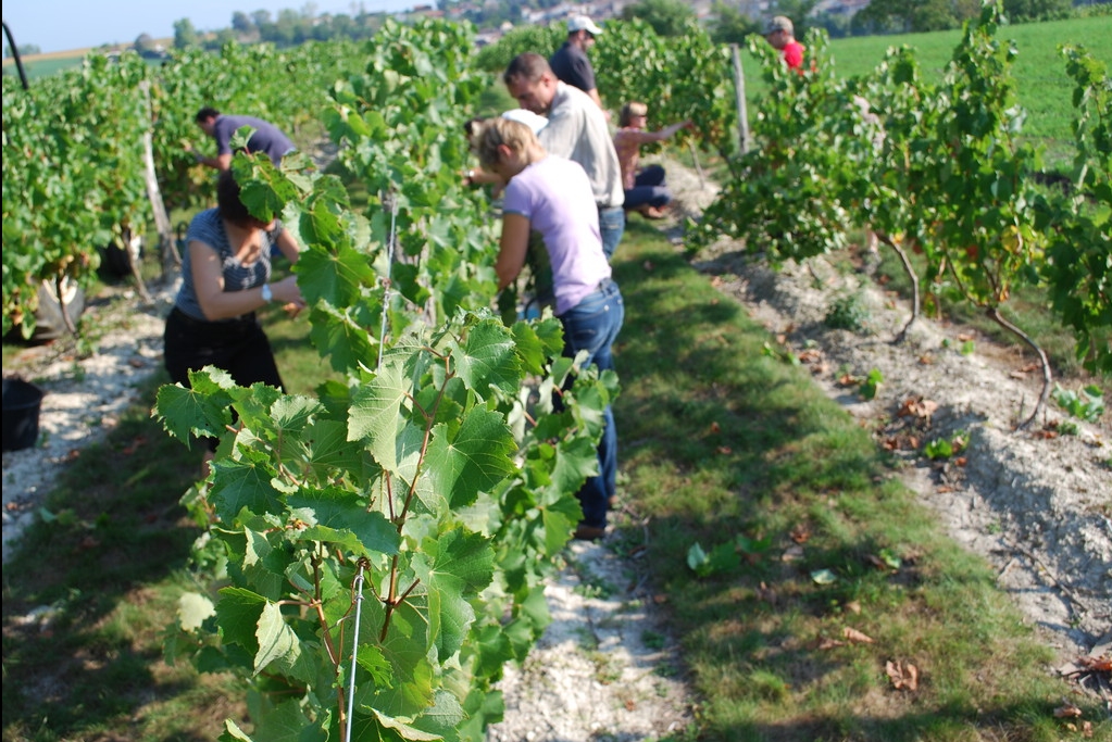La Ferme de Gagnet - photo 5