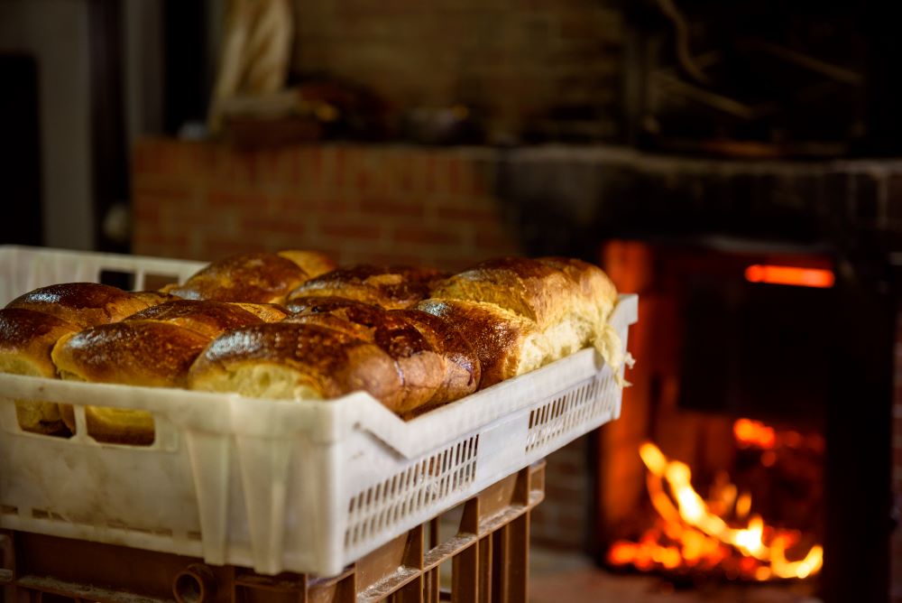 La Ferme de Malauzieux - photo 2