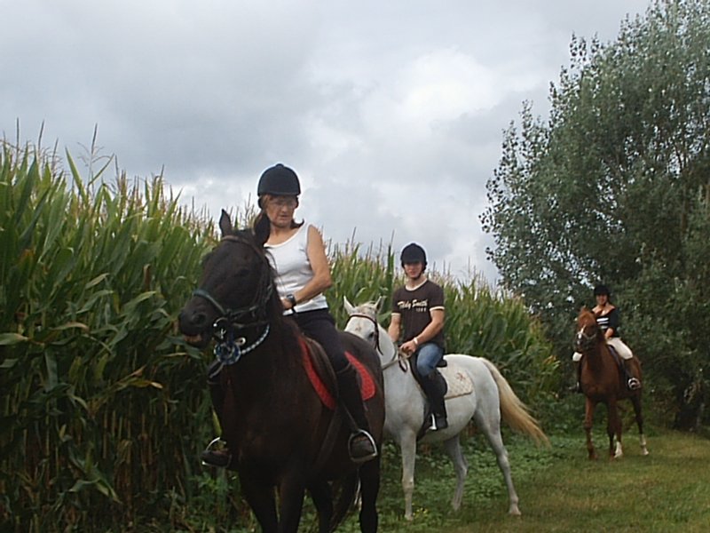 La Ferme Equestre de Manieu