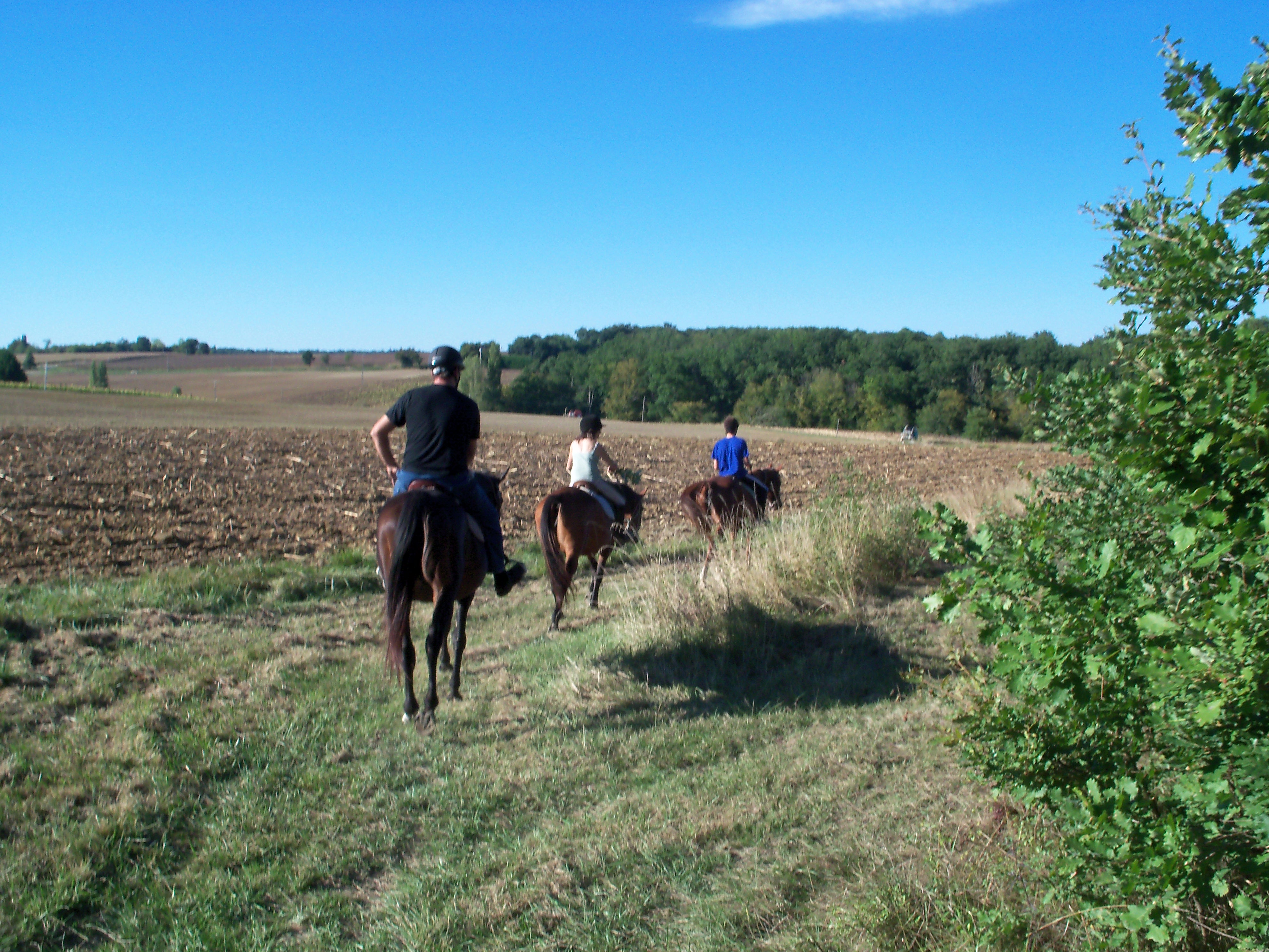 La Ferme Equestre de Manieu
