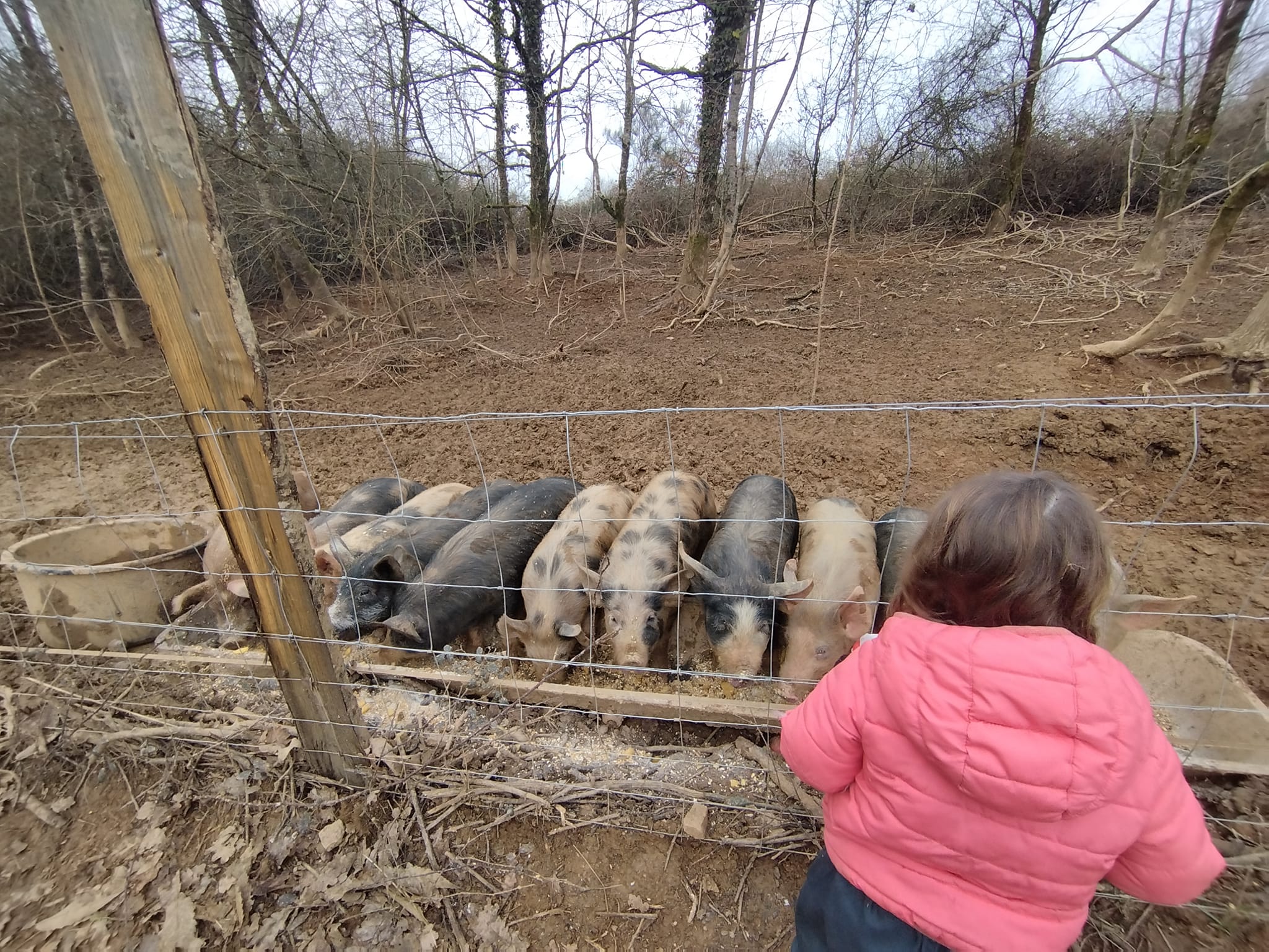 La Ferme du Domaine de Montardy