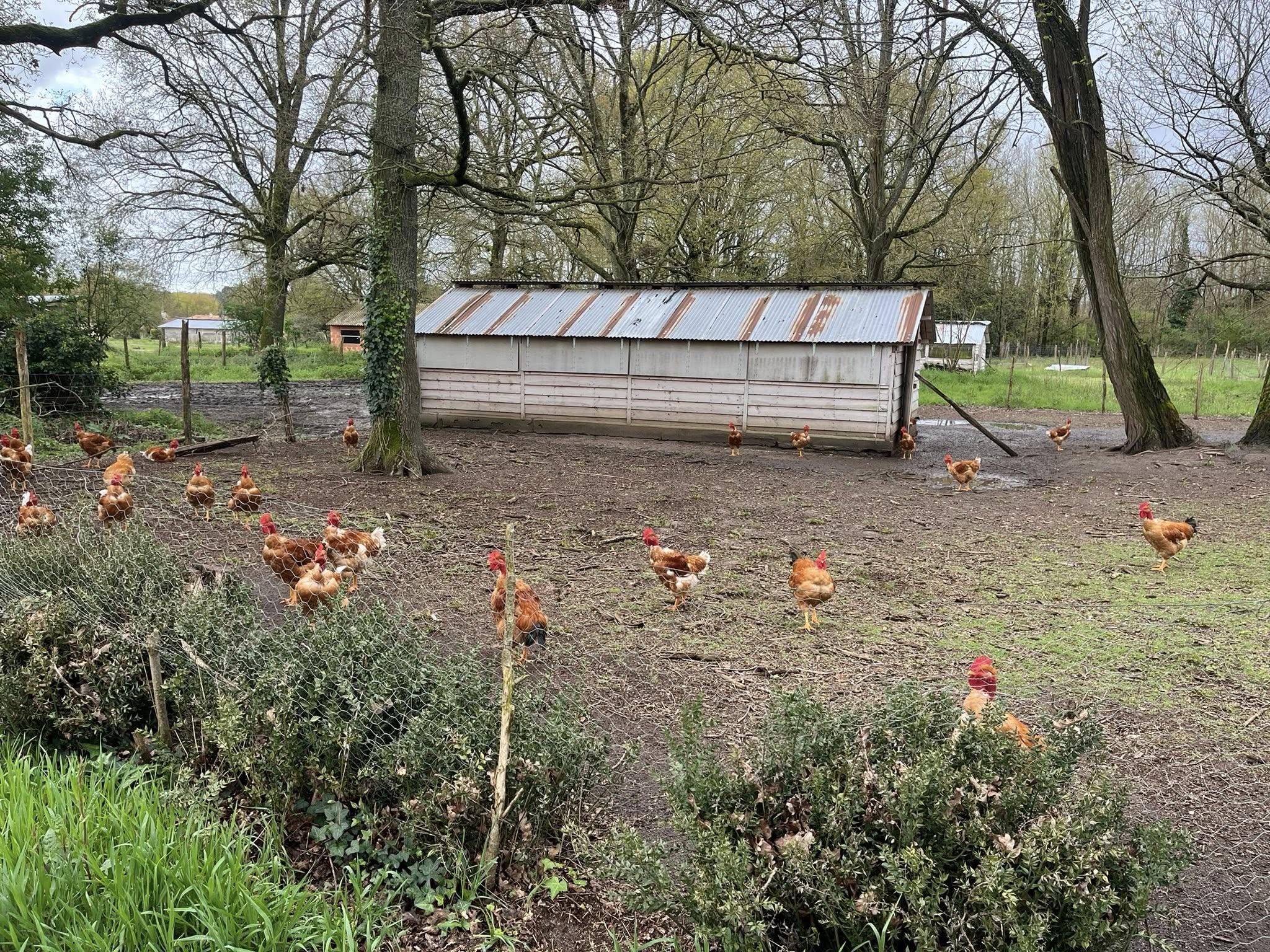 Ferme de Queyzac