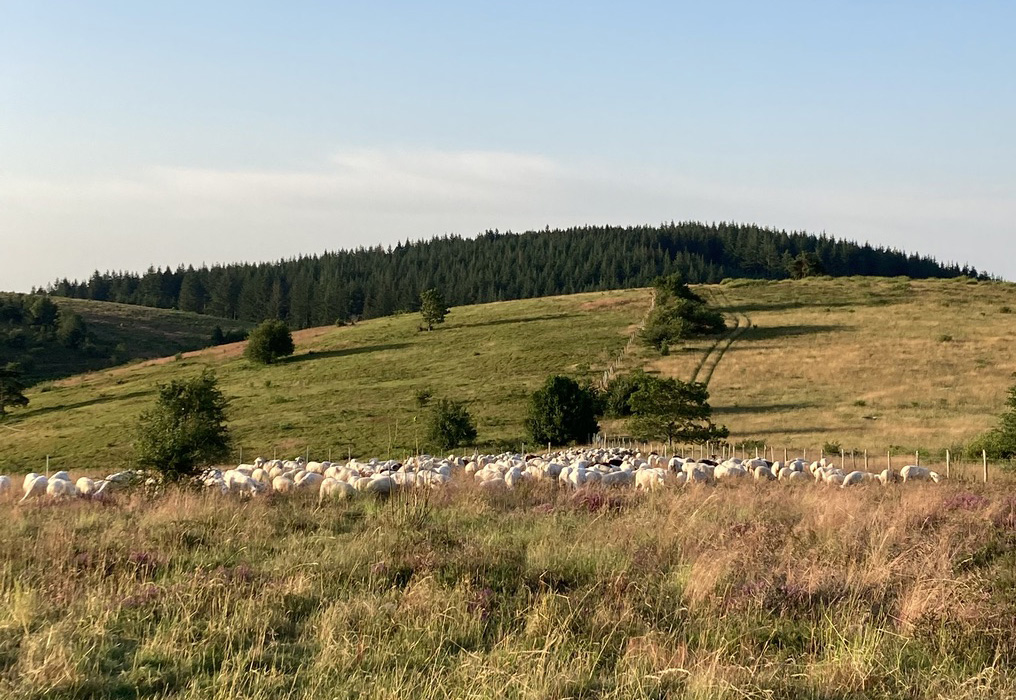 Ferme de la Monédière — photo 3